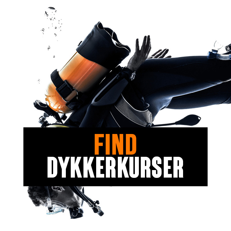 Dykkerkurser_forside_600x600px